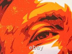 Eddie Vedder 2010 Screenprint Art Poster by Joshua Budich Pearl Jam #7/200 Rare
