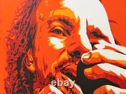 Eddie Vedder 2010 Screenprint Art Poster by Joshua Budich Pearl Jam #7/200 Rare