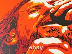 Eddie Vedder 2010 Screenprint Art Poster by Joshua Budich Pearl Jam #7/200 Rare