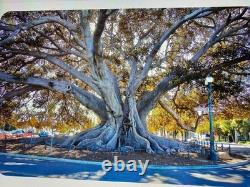 My Morning Jacket poster Santa Barbara 2021 Westell Phish Dave Matthews Avett u2