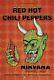 Nirvana-pearl Jam-red Hot Chili Peppers 1991 3rd Printing Poster-kurt Cobain