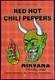Nirvana Concert Poster Pearl Jam Red Hot Chili Peppers Concert Poster San Fra