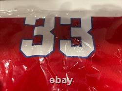 PEARL JAM BASKETBALL JERSEY LARGE PHILADELPHIA 76ers 2024 PHILLY 33 WELLS FARGO