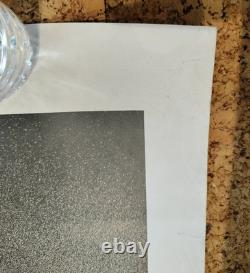 Pearl Jam 1990s Kevin Westenberg Poster MASSIVE 39W x 55L Lollapalooza