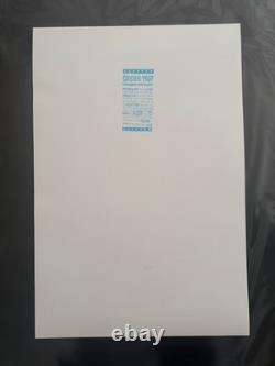 Pearl Jam 2013 Wrigley Field Chicago Concert Poster Ames SHARP