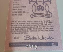 Pearl Jam 2016 Fenway Park Bucky Variant Edition Trading Card Artist Signed