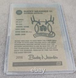 Pearl Jam 2016 Fenway Park Bucky Variant Edition Trading Card Artist Signed