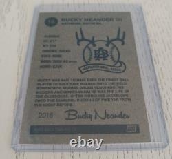 Pearl Jam 2016 Fenway Park Bucky Variant Edition Trading Card Artist Signed