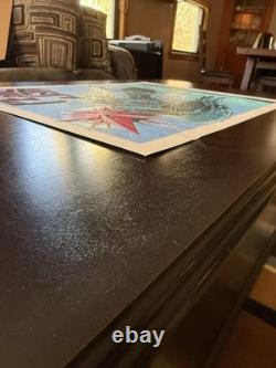 Pearl Jam Arras, France July 3, 2010 Poster