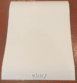 Pearl Jam Poster 2009 Philadelphia Spectrum Night #3 10/30/09 Tom Tomorrow MINT