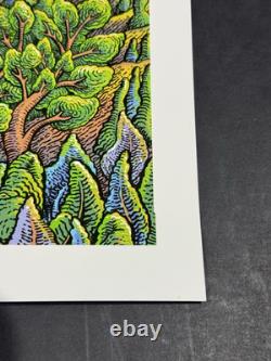 Pearl Jam RIDE FEST POSTER EMEK TELLURIDE Colorado 2016