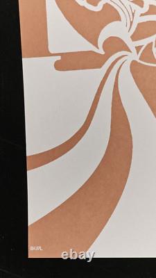 Pearl Jam Robert Plant House Of Blues Chicago IL 2005 Brad Klausen Poster Print