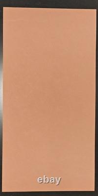 Pearl Jam Robert Plant House Of Blues Chicago IL 2005 Brad Klausen Poster Print