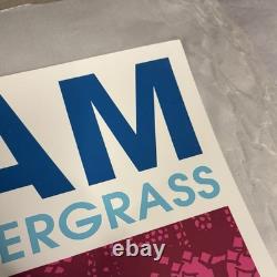 RARE Pearl Jam Poster Las Vegas 2000 Artist Edition Signed Numbered Ames Print