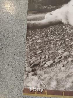 Rare Pearl Jam Poster 1994 Dead Dog Tour Press Check Poster from Nice Man