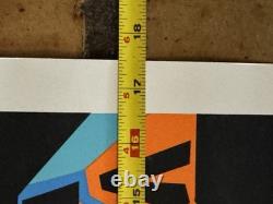 Vintage 2000 Pearl Jam & Sonic Youth FLA Concerts Original Silk Screen Poster